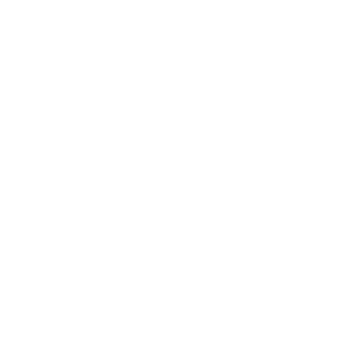 RealCar TESLA fleet